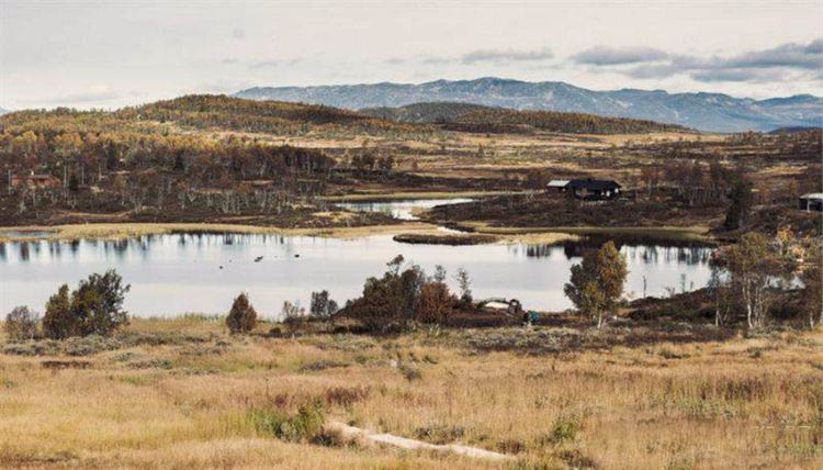 39.jpg